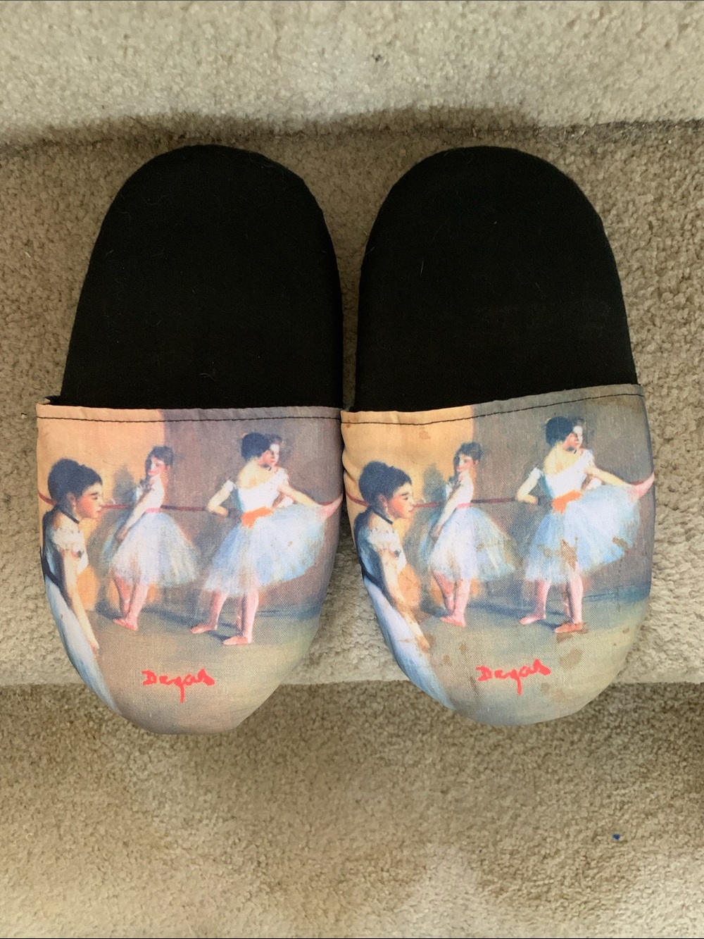 Degas Ballerina Slippers Costume Accessory-New